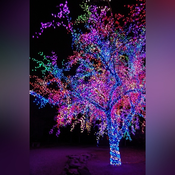 Meet your Posher, Richard - Picture 1 of 1